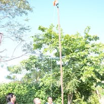 Principal